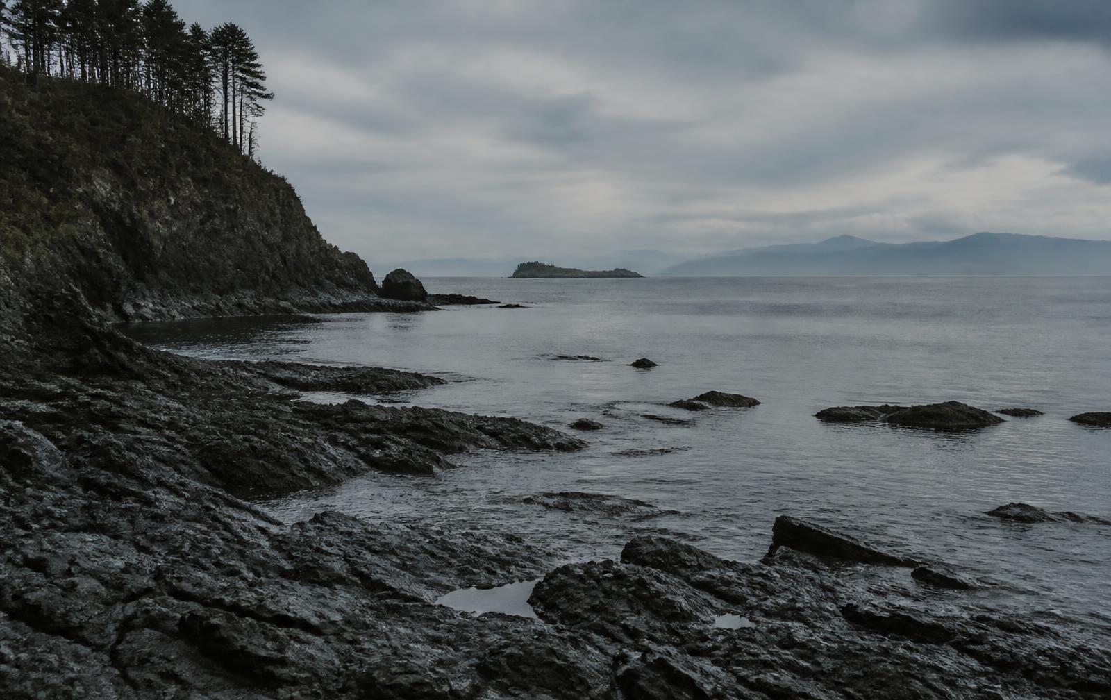 Rocky Pacific Northwest coastline at low tide under overcast skies